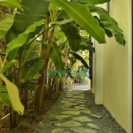 Chic Oasis By Important Group Travel Hotell